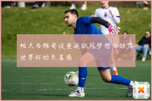 帕夫洛维奇谈重返欧冠梦想与缺席世界杯的失落感